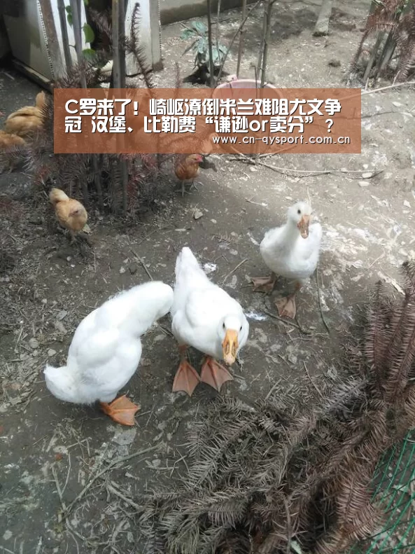 球友会平台为您提供全网最全的体育赛事直播与专业的在线投注服务。高赔率、安全快捷，立即注册体验！